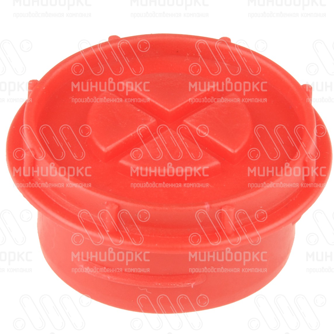 Заглушка пластиковая для внутренней резьбы 1